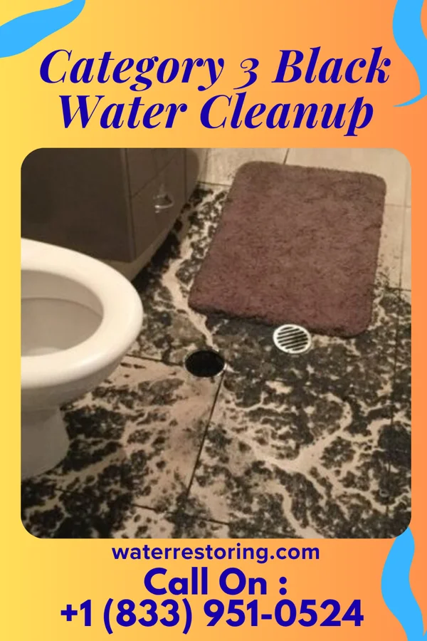 Category 3 Black Water Cleanup in Liverpool, NY