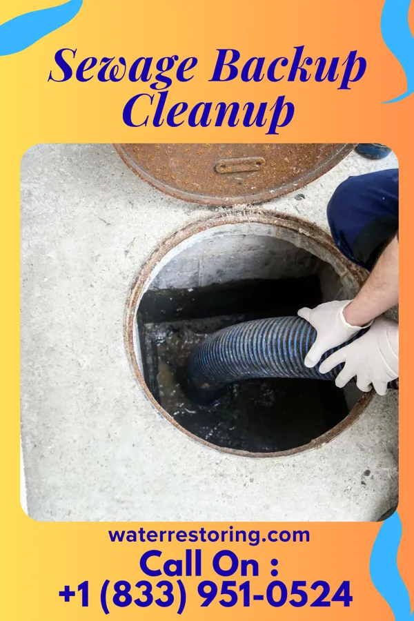 Sewage Backup Cleanup in Liverpool, NY